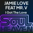 Jamie Love feat. Mr. V