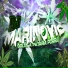 Dj Marinovic