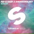 AVH x Pep & Rash