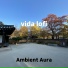 Ambient Aura