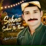 Abdul Hameed Shani