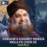 Owais Raza Qadri