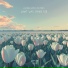 lavender home, plutones, soave lofi