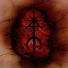 Lost Creation
