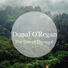 Donal O'Regan