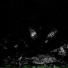 Re4l Vamp