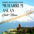 Muharrem Aslan