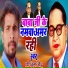 Pradeep Kumar Bauddh