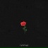prod.moonlight