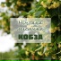 VIA Kobza pu O.Zueva