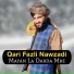 Qari Fazli Nawzadi