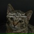 RelaxMyCat, Cat Music, Pet Care Club