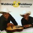 Waldecyr & Waldiney