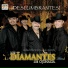 Los Diamantes De Ojinaga