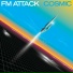 FM Attack