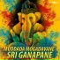 Shashank Sheshagiri