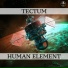 Tectum