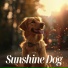 Music For Dogs
