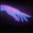 xoni21