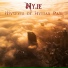 Nyje