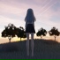 Shadefir
