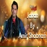 Amir Shabnam