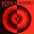 Roșu și Negru