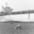 North Sentinel