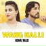Nemat Niazi