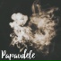 Papavdele