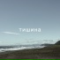 Саша Цой