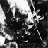 Zhanbxqq, SKYVER