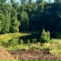 Three Free Trees