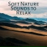 Nature Sounds Artists