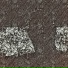 GIGERC