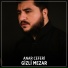 Anar Ceferi