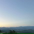 LVNX