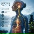 Nervus Vagus Healing