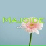 Majoide