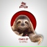 G-Spec