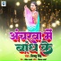 Nikku Singh