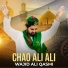 Wajid Ali Qasmi