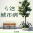 白妮娜