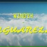 Windyh
