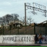 Rodríguez Castillo