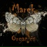 Marek
