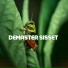 Demaster Sisset