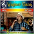 Wagner Viana