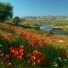 IVANOVICH