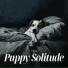 Relax My Dog Music